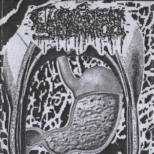 Avatar for Clogged Stomach