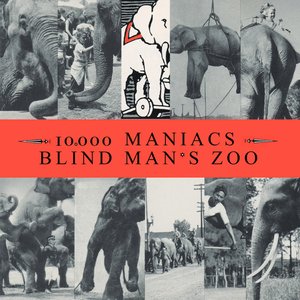 Blind Man's Zoo