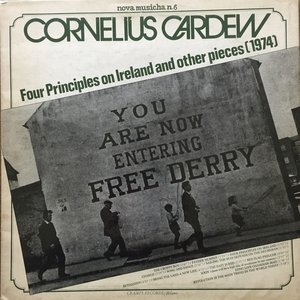 Four Principles in Irland