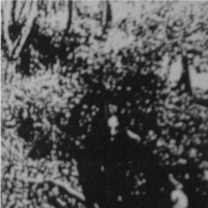 Avatar for Black Wailing