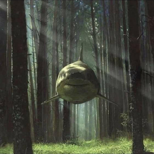 Flying Shark by The Grombbles