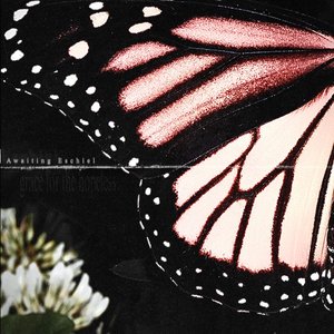 Grace for the Hopeless - Single