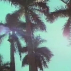 Avatar for MAMAIA_2084