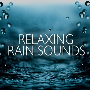 Rain Sounds by Wind and Rain Sounds