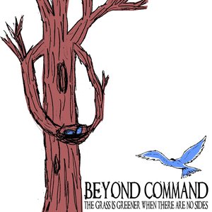 Avatar for Beyond Command