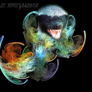 Avatar di Le Honeybadger