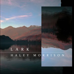 Lark