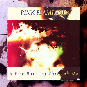 A Fire Burning Through Me