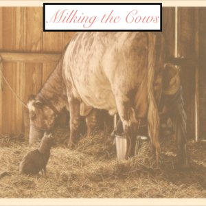 Milking The Cows