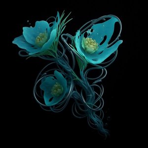 Limerence