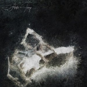 S/T