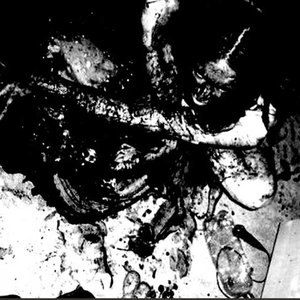 Avatar for Reverorum ib Malacht