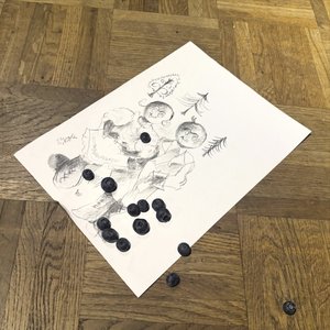 jagódki (blueberries)