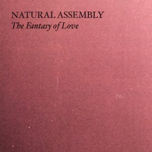 The Fantasy of Love