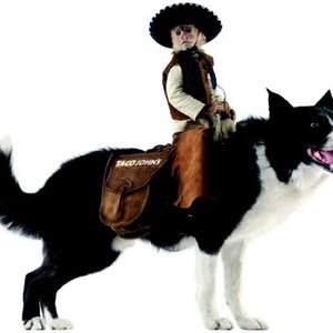 Avatar for Monkey Rodeo