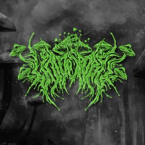 Avatar di Voidspore