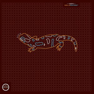 Salamander