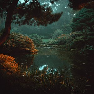 Moonlit Koi