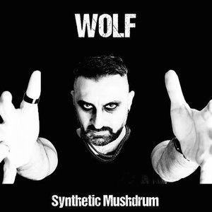 Avatar for Synthetic Mushdrum