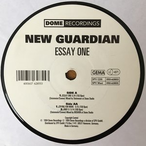 Avatar for New Guardian