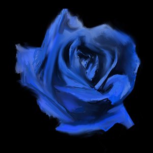Current Joys - ROSEBUD