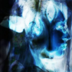 Avatar di swaneed