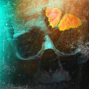 Without Me album cover