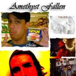 Avatar for Amethyst Fallen