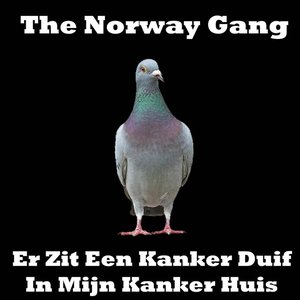 Er Zit Een Kanker Duif In Mijn Kanker Huis