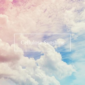 Avatar for Cellulose Sunshine
