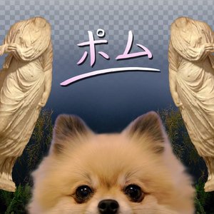 Avatar for ポム