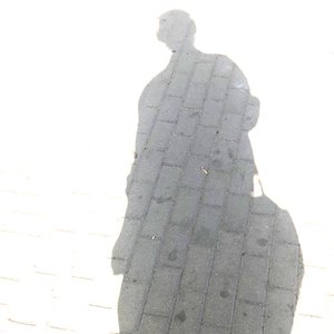 Avatar for sixteen veins