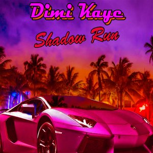 Shadow Run