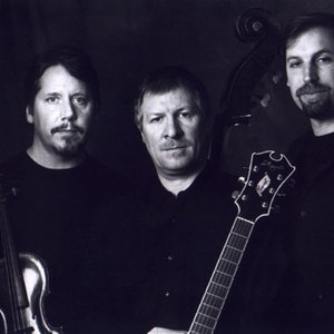 Avatar for String Trio of New York