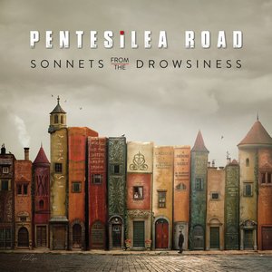 Sonnets From the Drowsiness