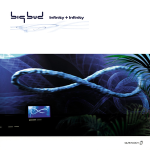 Infinity + Infinity by Big Bud