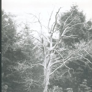 The Spirit of Autumn Past
