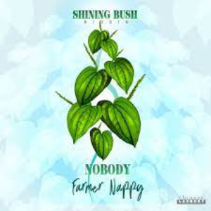 Artwork for Nobody