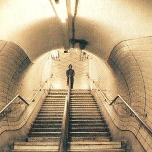 Avatar for Polygon Window