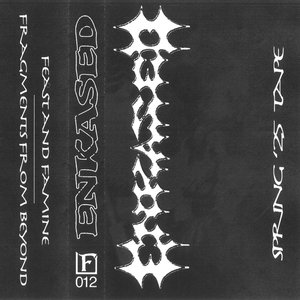 Spring '25 Tape
