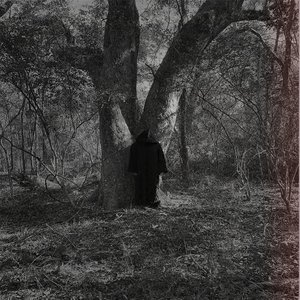Dusk - Single