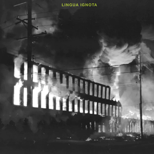 LET THE EVIL OF HIS OWN LIPS COVER HIM by Lingua Ignota