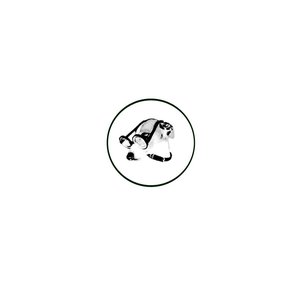 Avatar for Surf Dad