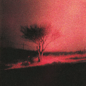 Joji