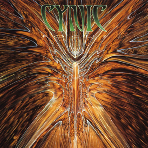 Focus by Cynic