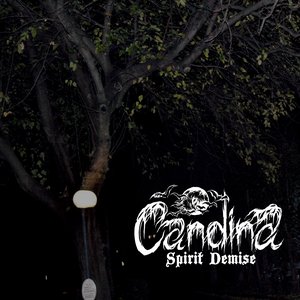 spirit demise