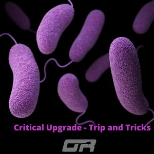 Trip and Tricks