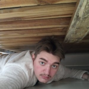 Wyd