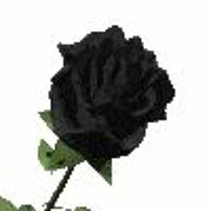 Avatar de Netajin