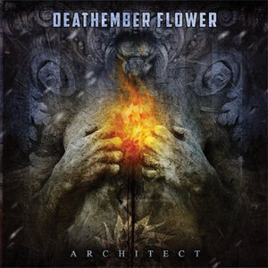 Architect